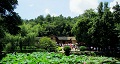 長沙出發(fā)到花明樓、韶山、張家界國家森林公園、天門仙山國家森林公園四日游